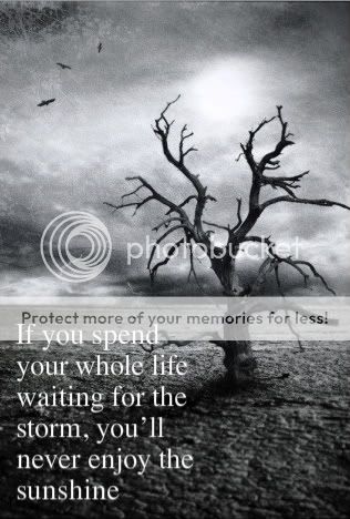 waiting for the storm Pictures, Images and Photos