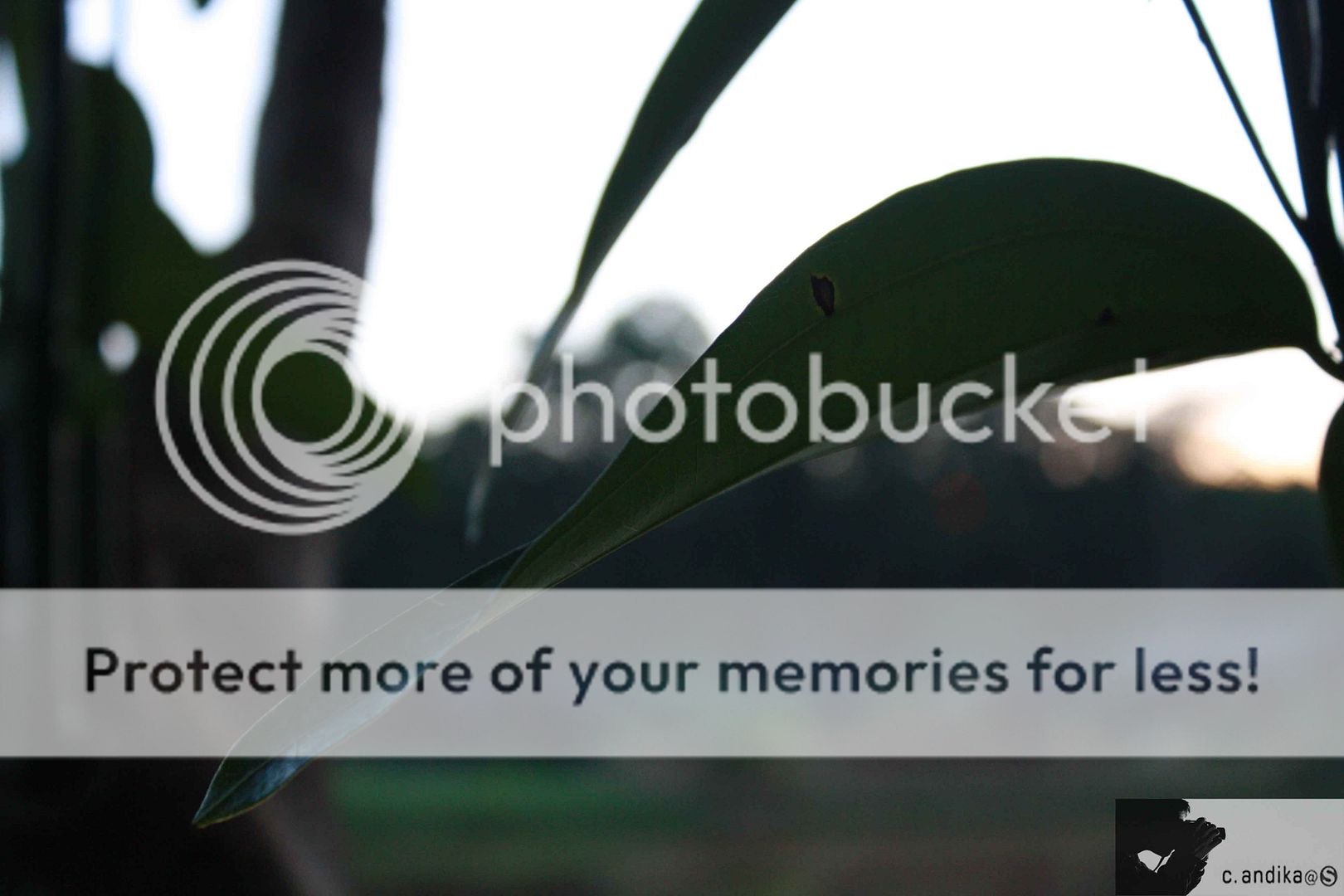 Photobucket