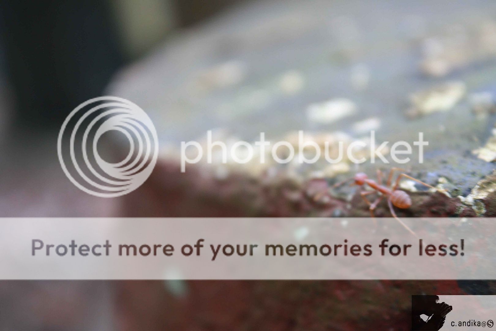 Photobucket