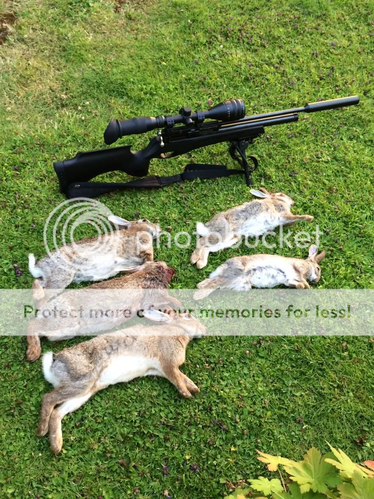 5B8B5CAB-CBE1-4695-B8EF-8472D9A11D06_zps