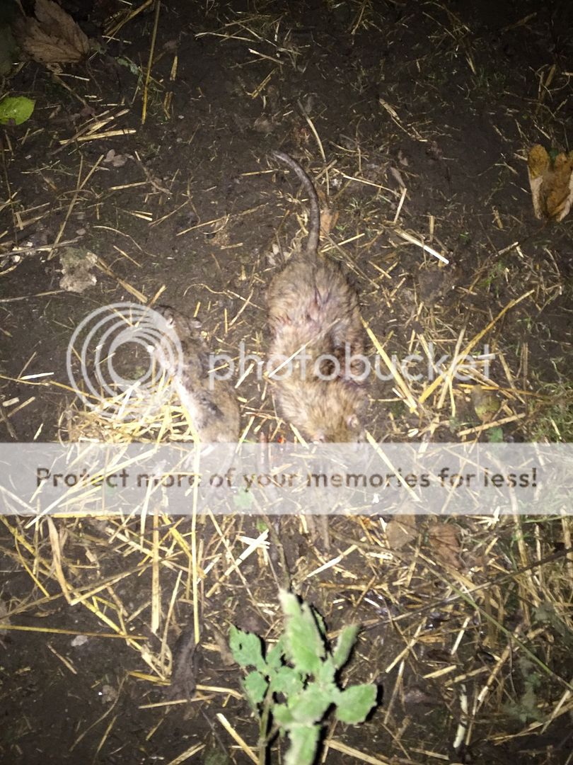 AAB311FF-9DB5-4D66-82E9-5C4EE90FE278_zps