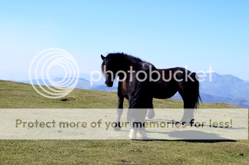 Loral Y El Buey Muerto: El Recóndito Yernes - Descubriendo Asturias (8)