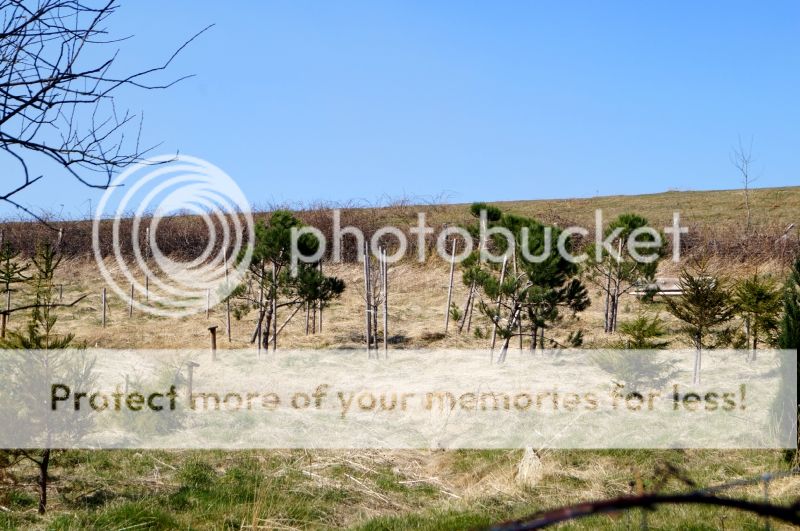 Loral Y El Buey Muerto: El Recóndito Yernes - Descubriendo Asturias (9)