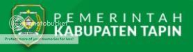 Pemerintah Kabupaten Tapin