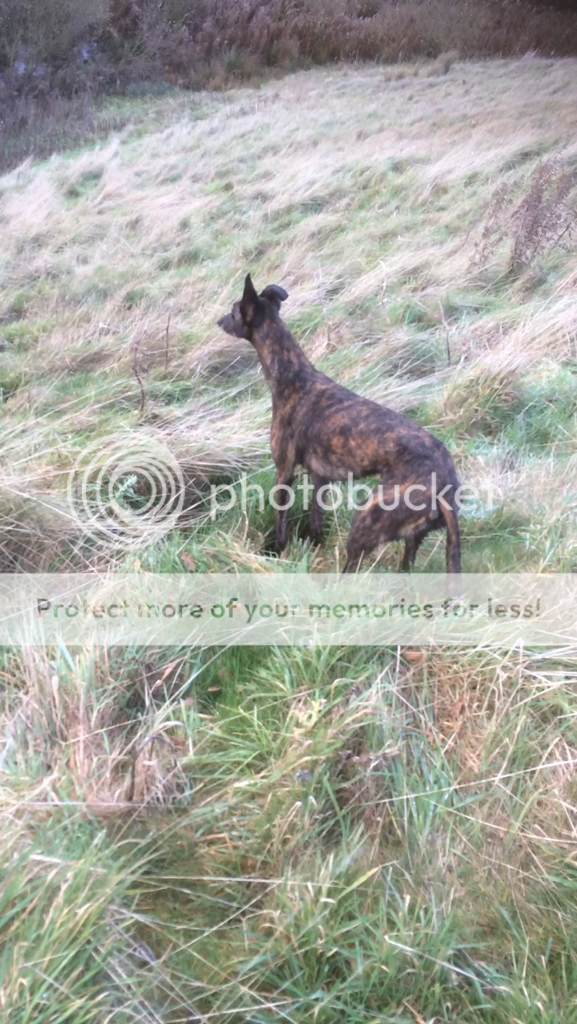 0F3E1D3A-AF7D-46FD-B15B-9E8BC34CBAD7_zps