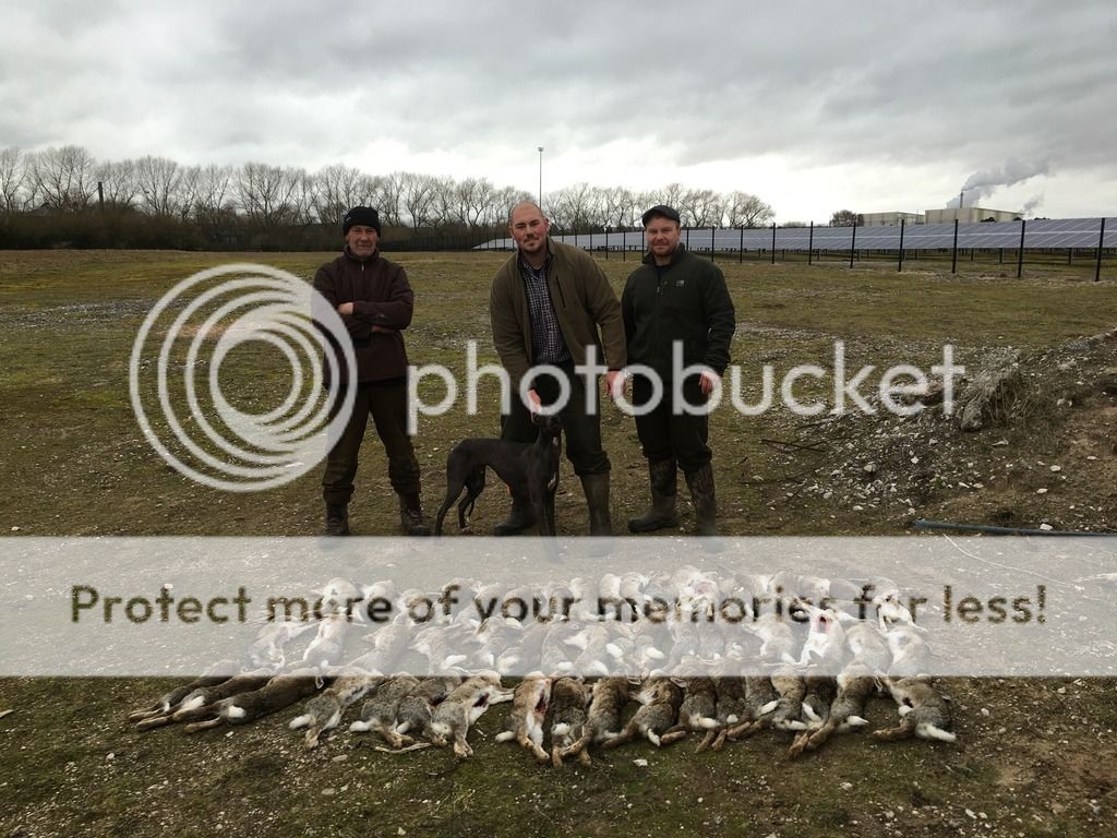 29C7C31E-5ED0-4499-8ABF-BBDED37DEDB5_zps