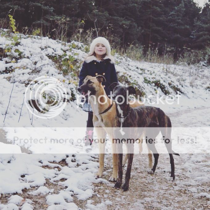 4554776D-B46A-4CA6-BA42-F9402E776ED5_zps