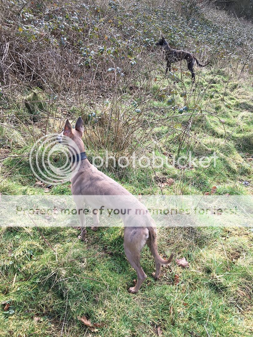 509B7A60-7341-4266-9FD6-1E73DD6D0F4A_zps