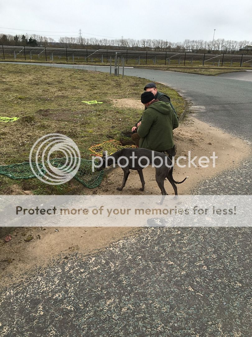 841CD233-11DC-462A-A1FE-63E54EDEB0BE_zps