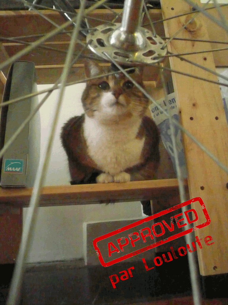 [Image: APPROVED.gif]