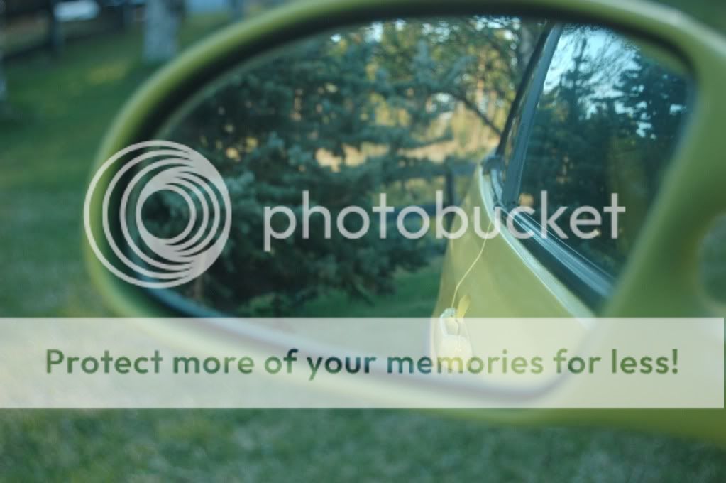 DSC_1956.jpg?t=1275768188