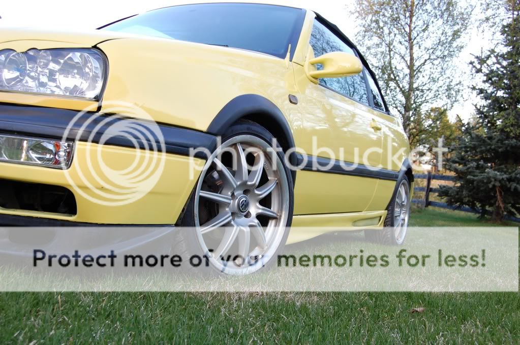 DSC_1967.jpg?t=1275768188