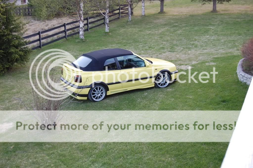 DSC_1981.jpg?t=1275768188