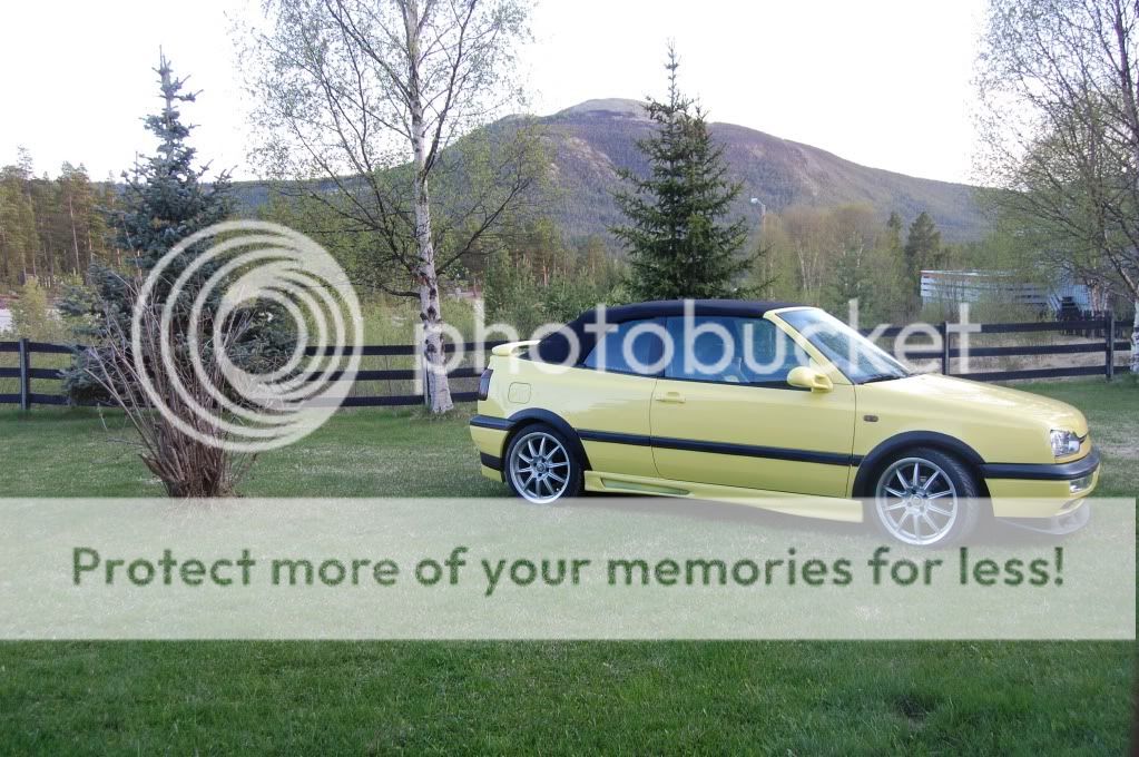 DSC_1986.jpg?t=1275768188