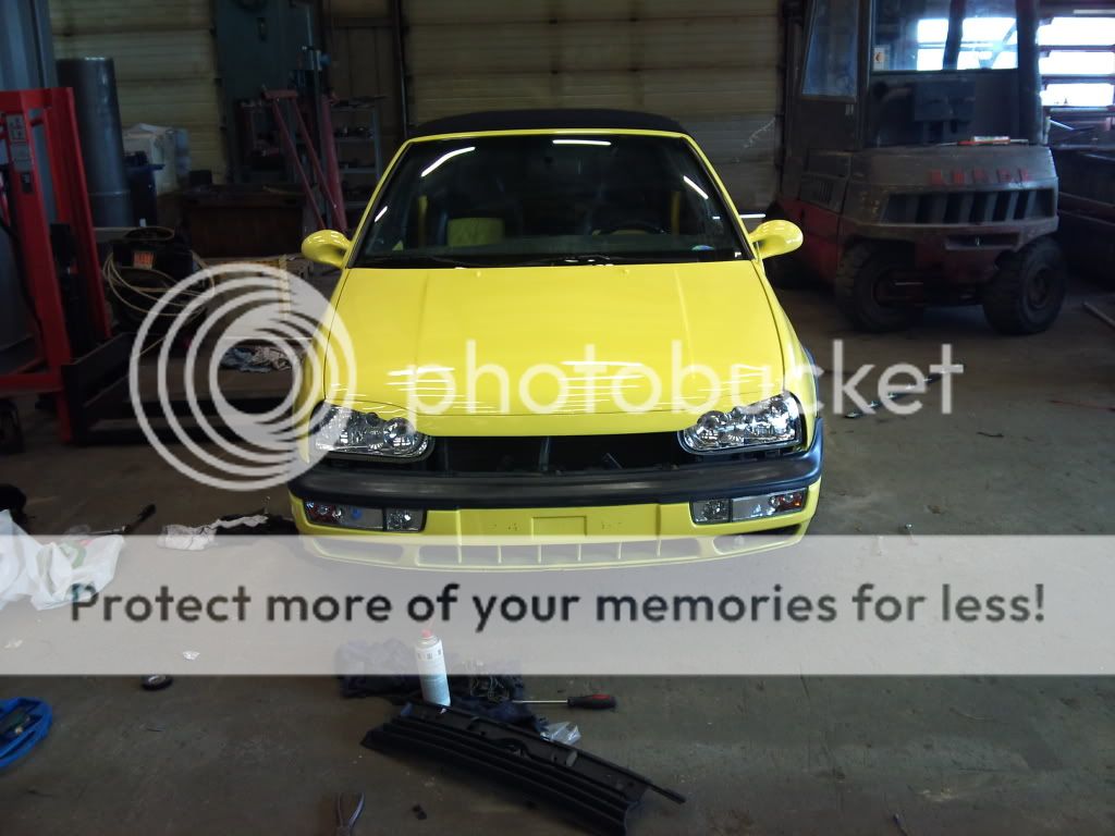 DSC00083.jpg?t=1271169429