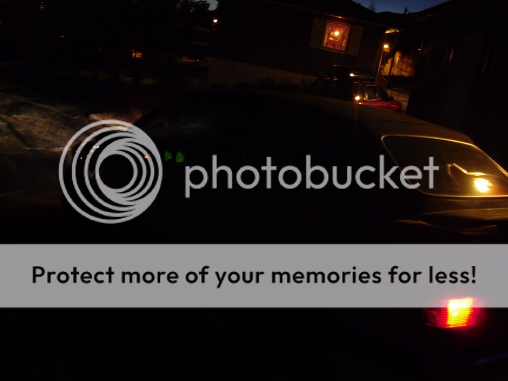 SDC10269.jpg?t=1271229198