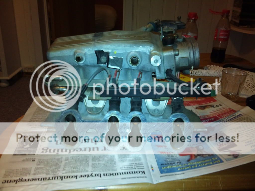 DSC00088.jpg?t=1271658145