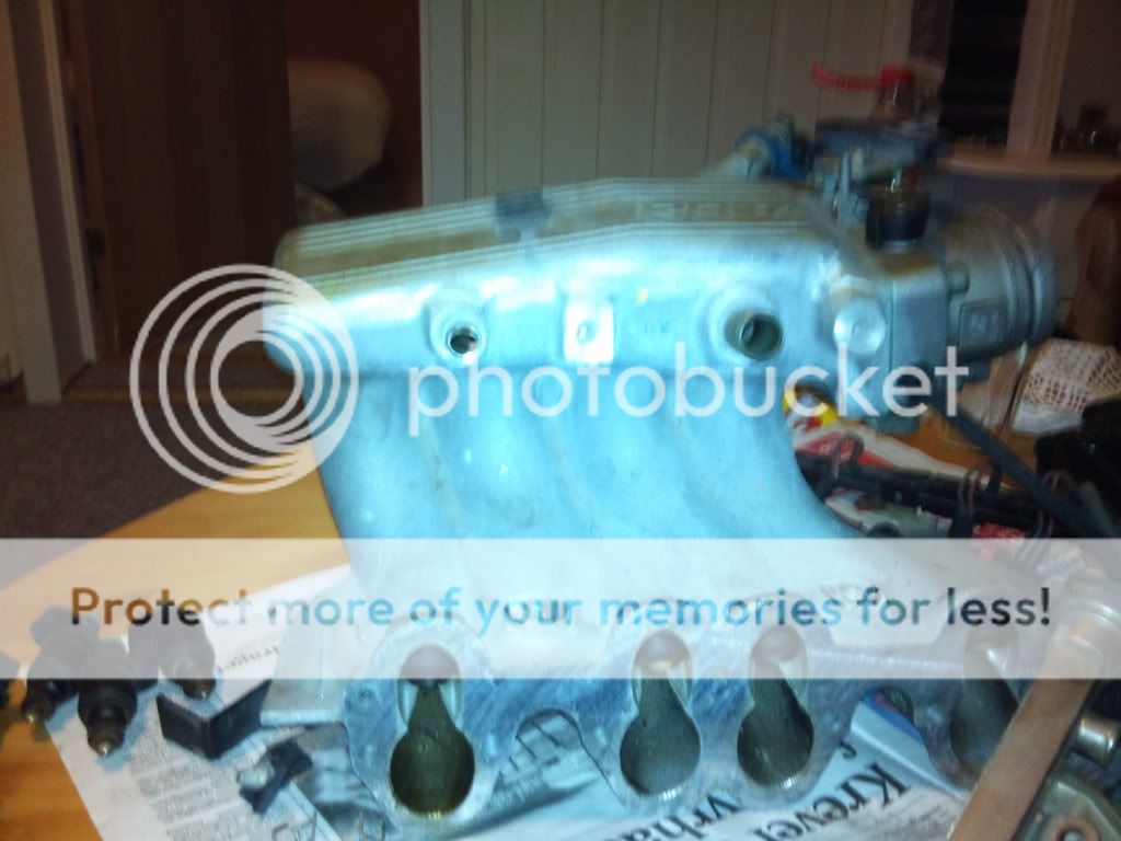 DSC00090.jpg?t=1271658206