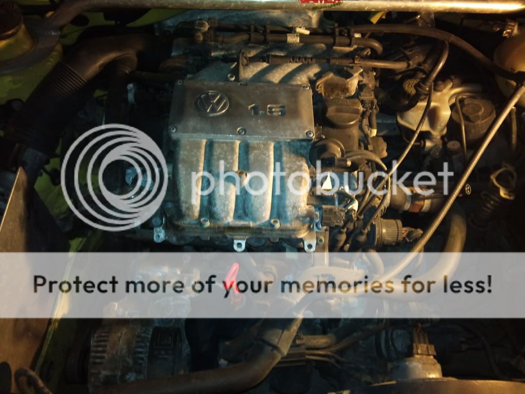 DSC00093.jpg?t=1271658268