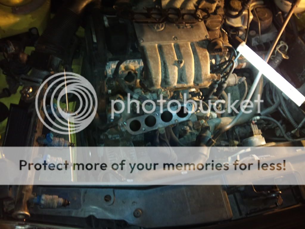 DSC00094.jpg?t=1271658302