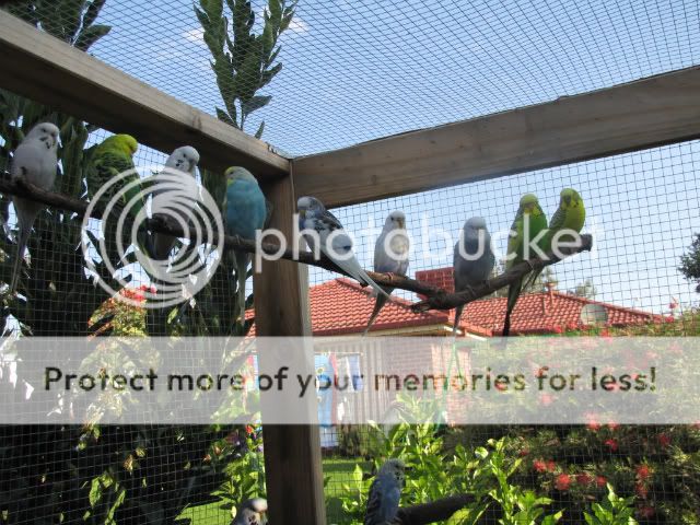 IMG_2638.jpg?t=1283559610