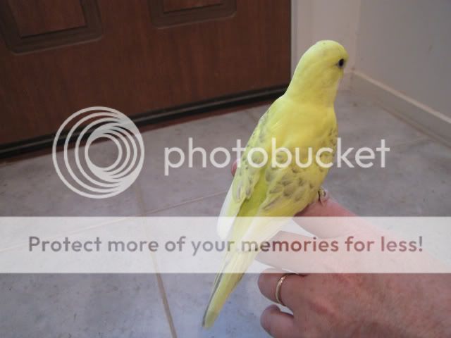 IMG_3247.jpg?t=1283515606