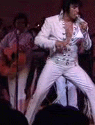 18.gif