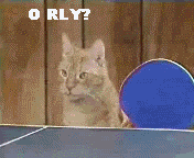 20.gif