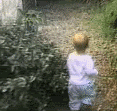 30.gif