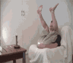 31.gif