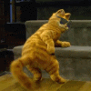 39.gif