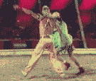 49.gif